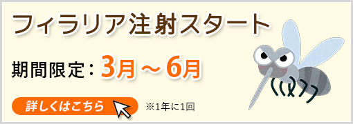フィラリア注射 スタート　期間限定：3月～6月